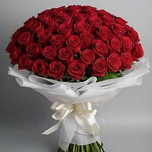 Букет 101 Красная роза Блэк Мэджик в Бограде