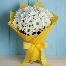Букет цветов из:  Хризантемы в Бограде