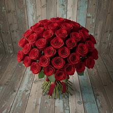 Букет 55 Красных роз Фридом #REPLACE_PRED# Бограде