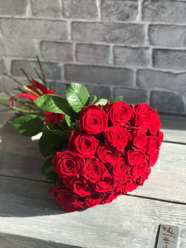 Букет Красные розы Фридом в Бограде