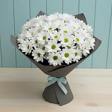 Букет цветов из:  Хризантемы в Бограде