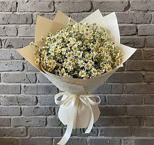 Букет цветов из:  Ромашки в Бограде