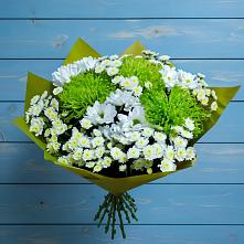 Букет цветов из:  Хризантемы в Бограде
