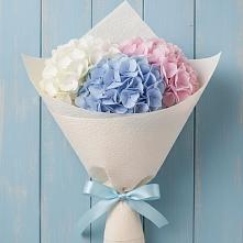 Букет цветов из:  Гортензия в Бограде