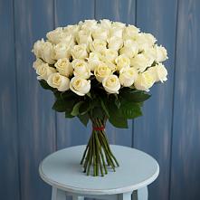 Букет 51 Белая роза Эдлесс Лав #REPLACE_PRED# Бограде