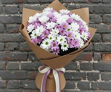 Букет цветов из:  Хризантемы #REPLACE_PRED# Бограде