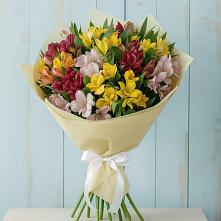 Букет цветов из:  Альстромерии в Бограде