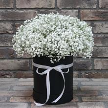 Цветочная композиция из Гипсофила в шляпной коробке #REPLACE_PRED# Бограде