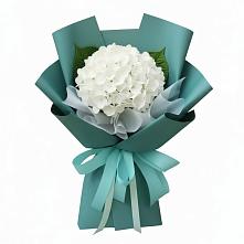 Букет цветов из:  Гортензия в Бограде